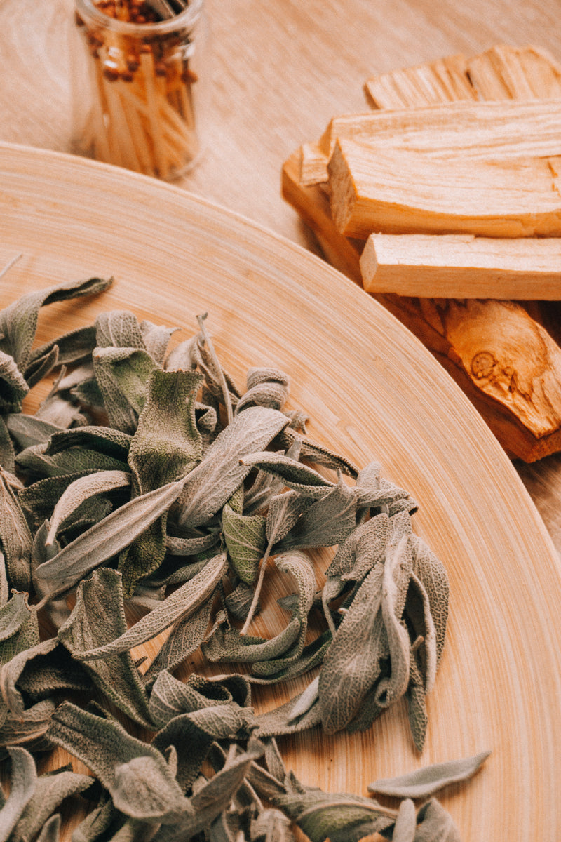 White Sage Leaves/Sprigs by the pound - Set your intentions wisdom of ancient traditions