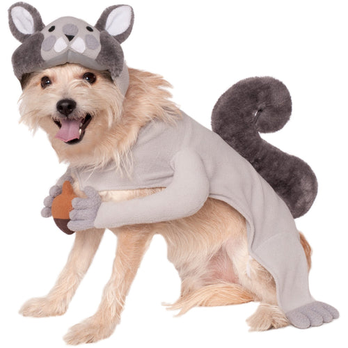 Squirrel Pet Costume - ModernMonaStudio