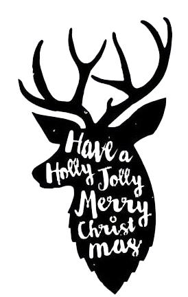 Have a Holly Jolly Xmas - Metal Wall Art - ModernMonaStudio