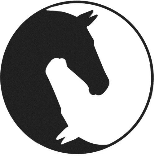 Horse Head - Metal Wall Art - ModernMonaStudio