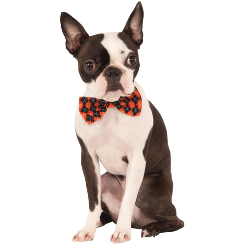 Argyle Design Pet Bowtie - ModernMonaStudio