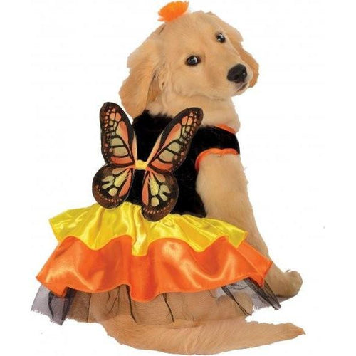 Beautiful Butterfly Pet Costume - ModernMonaStudio