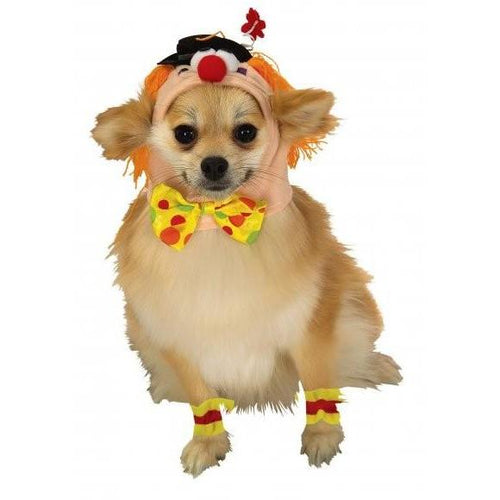 Clown Headpiece with Cuffs Pet Costume - ModernMonaStudio