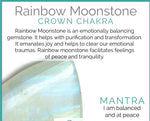 Rainbow Moonstone & Crystal Quartz Stretch Bracelet! Genuine Crystals! - ModernMonaStudio