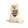 Glitter Halloween Pet Bandana - ModernMonaStudio