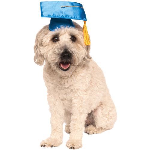 Graduation Pet Hat - ModernMonaStudio