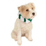 Green Candy Cane Christmas Pet Bell Collar - ModernMonaStudio