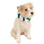 Green Candy Cane Christmas Pet Bell Collar - ModernMonaStudio
