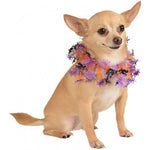 Halloween Spider Pet Collar - ModernMonaStudio