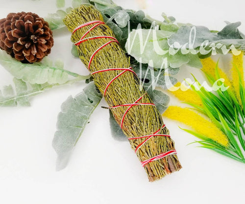 Large Dried Cedar Smudge, Cedar Smudge, Cedar Cleanse of Negative Energy, Cedar Smudging Wand  - ModernMonaStudio