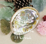 4"- 5" - Abalone Shell, Abalone Smudge Tray, Abalone Shell Smudge Tray, Abalone Shell - ModernMonaStudio