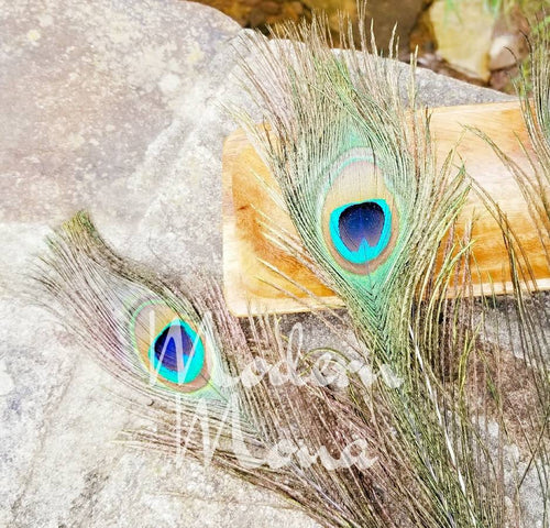 Peacock Feather, Peacock Feather Bookmark, Peacock Smudge Feather, Peacock Feather Decor, Peacock Feather Ceremonial - ModernMonaStudio