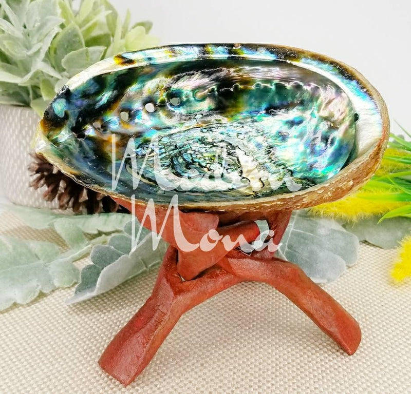 6" - Large Abalone Shell - Abalone Shell Smudge Tray, Abalone Shell, Large Abalone Shell - ModernMonaStudio