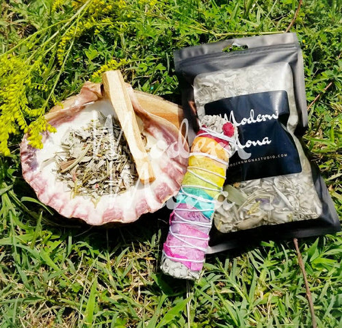 Smudging Starter Kit - 7 Chakra Smudge, Lion Paw Smudge Plate, Combination Herb Clippings with Sage, Palo Santo Stick - ModernMonaStudio