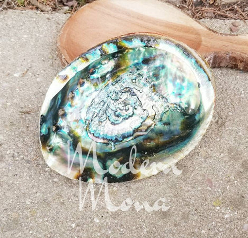 6" - Large Abalone Shell - Abalone Shell Smudge Tray, Abalone Shell, Large Abalone Shell - ModernMonaStudio