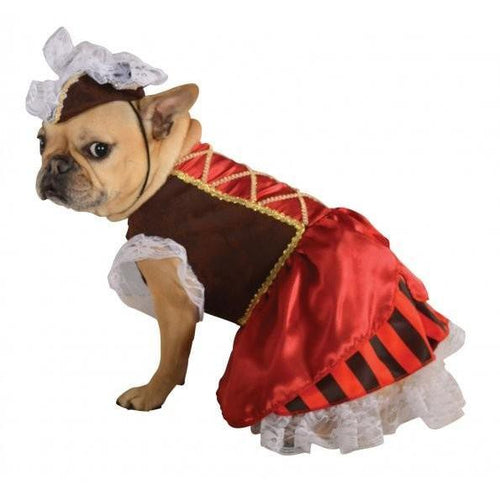 Pirate Girl Pet Costume - ModernMonaStudio