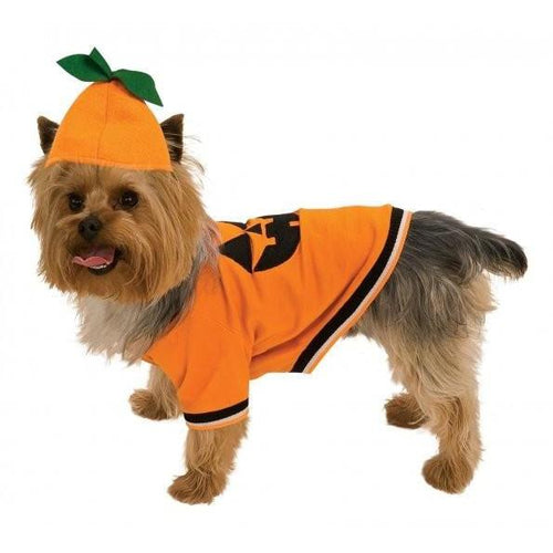 Pumpkin Pet Costume - ModernMonaStudio