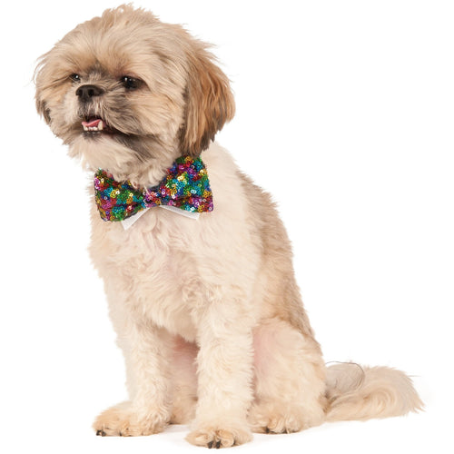 Rainbow Sequins Pet Bowtie - ModernMonaStudio