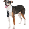 Skull Print Pet Tie - ModernMonaStudio