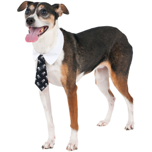 Skull Print Pet Tie - ModernMonaStudio