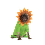 Sweet Sunflower Pet Costume - ModernMonaStudio