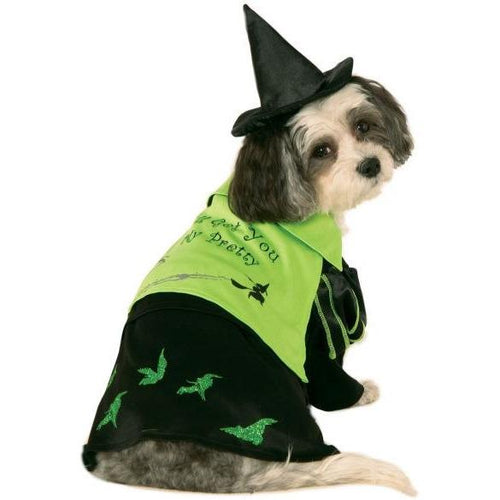 Wicked Witch of The West Wizard of Oz Pet Costume - ModernMonaStudio